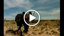 Reporters-bushmen-thumb_widescreen_medium_small_play