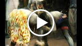 Nuba-wrestling-thumb_widescreen_small_play
