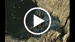 Environmental Destruction in Siberia