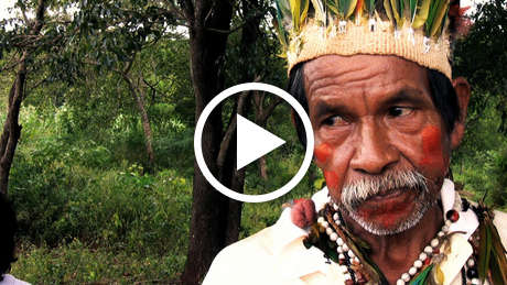 Guarani-ranchers-threat-thumb_460_wide_play