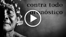 Contra todo pronóstico