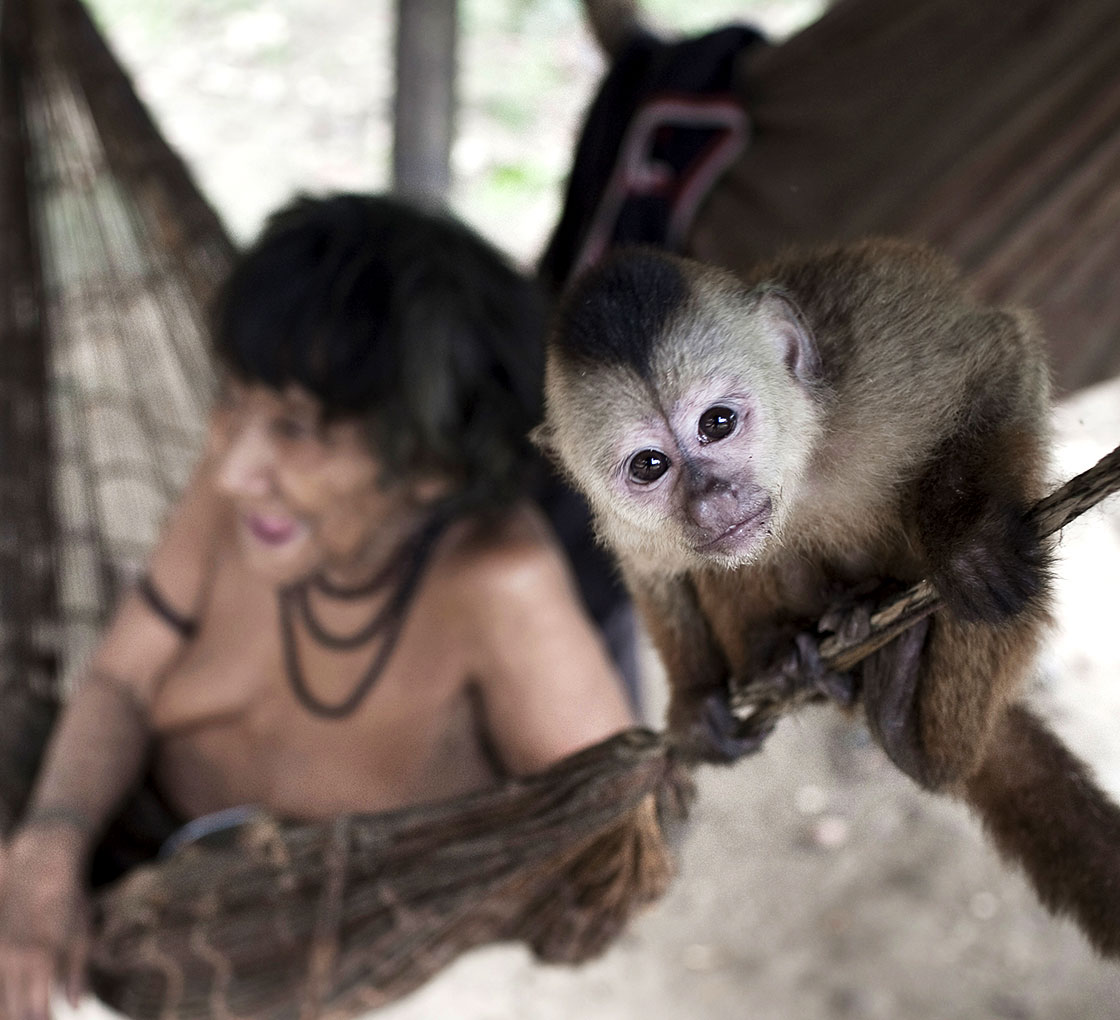 I. A. LONG. the baby monkeys,' Parakeet explains. 