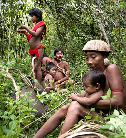 Família indígena na floresta