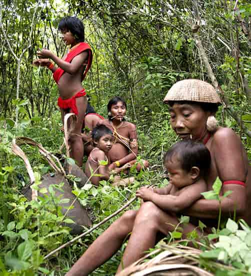 Tribal family in the forest