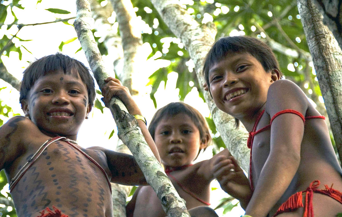 Yanomami Mädchen zwischen den Bäumen