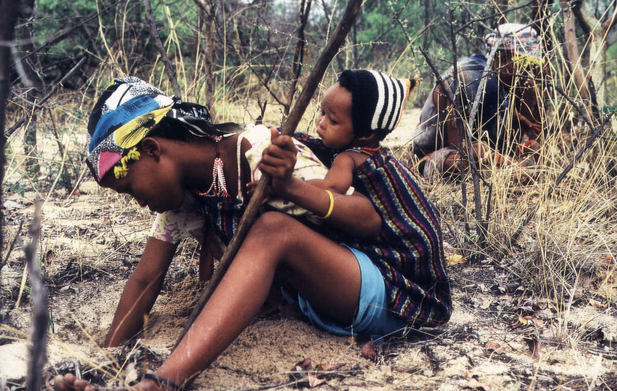 Die Buschleute leben seit Tausenden von Jahren von der Jagd und der Suche nach Nahrung in der Kalahari.