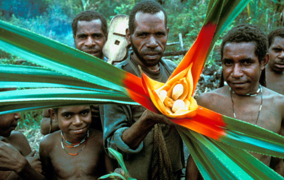 Männer vom Volk der Yali, Papua.