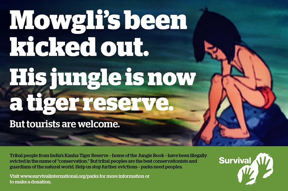Tribespeople have been "illegally evicted from India's Kanha tiger reserve":http://www.survivalinternational.org/news/10631 – home of the 'Jungle Book.' Such policies don't save the tiger, please help us stop these abuses! Share and visit "our campaign page.":http://www.survivalinternational.org/about/tigers