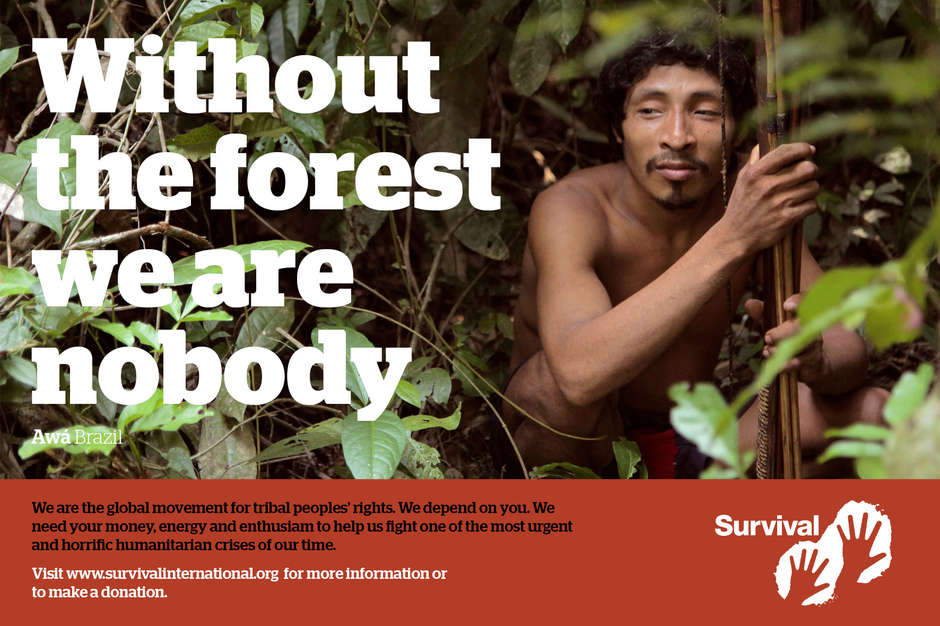 Tribal peoples like the Awá are the best conservationists and guardians of the natural world. "Learn more":https://www.survivalinternational.org/awa about the Earth's most threatened tribe.