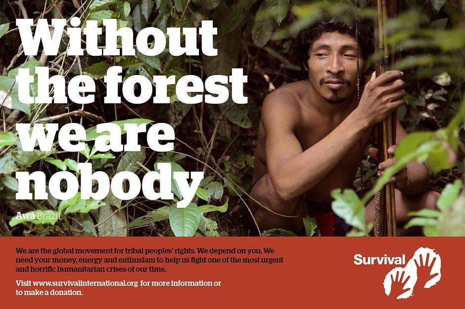 Tribal peoples like the Awá are the best conservationists and guardians of the natural world. "Learn more":https://www.survivalinternational.org/awa about the Earth's most threatened tribe.