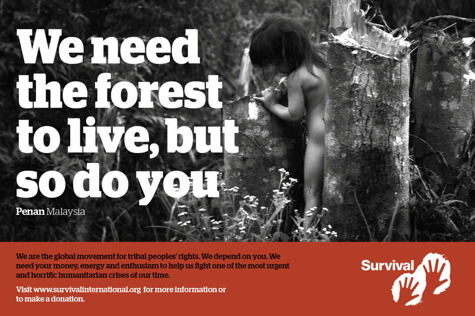 The Penan’s land rights are not recognized, and their forests are being cleared for logging, oil palm plantations and hydroelectric dams, robbing them of their means of survival. "Learn more":http://www.survivalinternational.org/tribes/penan about the Penan.