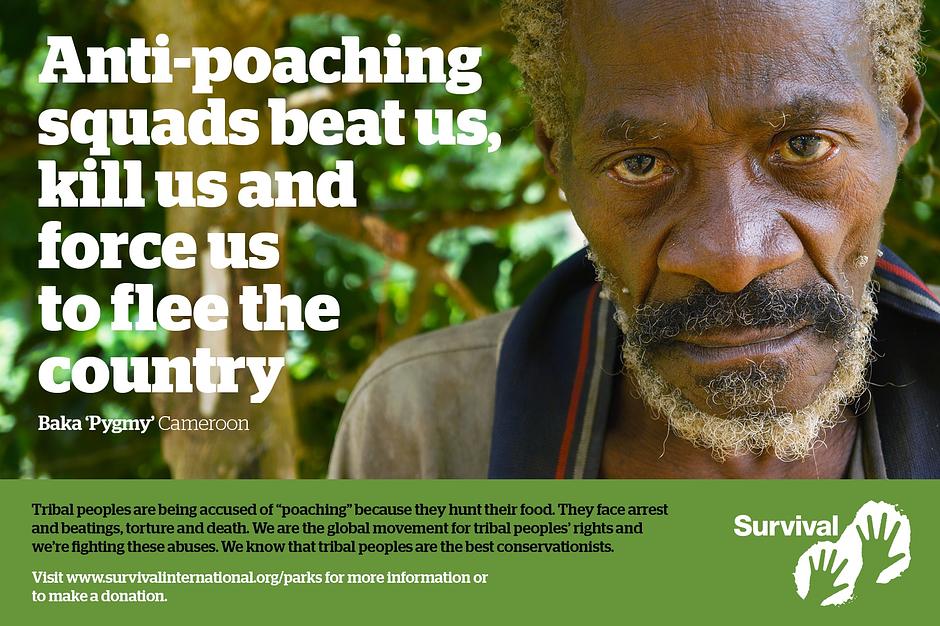 WWF supports anti-poaching squads that beat, arrest and torture Baka "Pygmies" in Cameroon who hunt to feed their families. "Write to the director of WWF":http://www.survivalinternational.org/emails/southeast-cameroon and ask for the organization to stop funding the abuse of tribal peoples in the name of conservation.