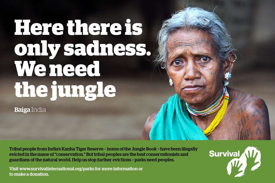 The lives of the Baiga have been devastated after being evicted from Kanha tiger reserve – home of the Jungle Book. "Help us stop further evictions":http://www.survivalinternational.org/about/tigers