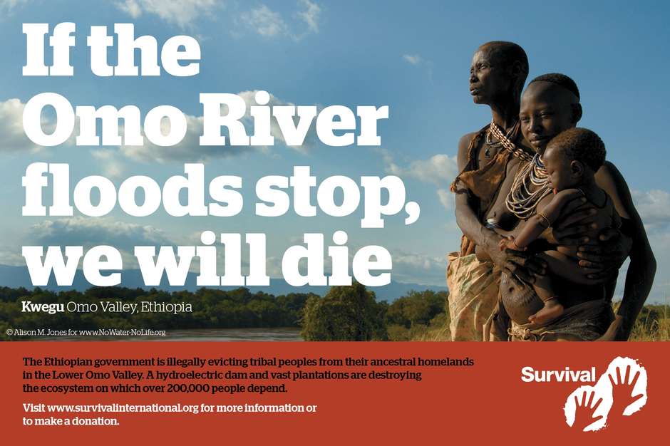 The tribes of Ethiopia's Lower Omo Valley depend on the floods of the Omo, but large-scale 'development' projects are drying up the river. "Take action":http://www.survivalinternational.org/actnow/writealetter/omovalley to stop these harmful projects.