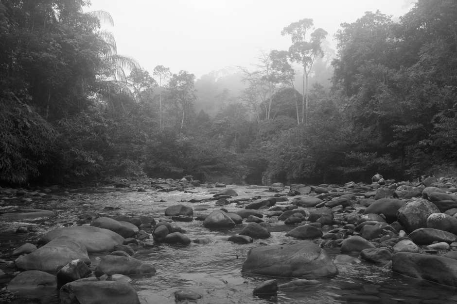 Hinterlasse keine Spuren.

Viele indigene Völker wissen vielleicht noch immer besser als die meisten Menschen, dass die zerbrechliche Balance zwischen Mensch und Natur nur über Jahrtausende gewahrt wurde, weil man ihre Grenzen respektierte. Es scheint auch kein Zufall, dass viele der biologisch vielfältigsten Regionen der Erde von indigenen Völkern bewohnt sind. 

Die Awá hinterlassen kaum andere Spuren als aufgewühlte Lianenblätter und Markierungen an Baumstämmen, wenn sie im Wald unterwegs sind. Das Gift mit dem die Yanomami fischen, zersetzt sich rasend schnell im Wasser und hinterlässt keine Verunreinigung. Die Innu heben die Knochen getöteter Rentiere auf und hängen die Geweihe hoch in die Bäume, um den Tieren Respekt zu zollen. 

Verantwortung und Wechselseitigkeit  sind Grundvoraussetzungen für das Überleben: Mehr zu nehmen als gebraucht wird oder die Erde auszulaugen, ist nicht nur selbstzerstörerisch, sondern auch eine Vernachlässigung ungeborener Kinder. „Wir jagen selektiv“, sagen die Penan. „Wir jagen nur, um unsere Bedürfnisse zu decken.“  

Doch ohne die Rechte an ihrem angestammten Land, für die sich Survival International seit 44 Jahren einsetzt, werden indigene Völker nicht überleben. 

Survivals Arbeit ermöglicht es indigenen Völkern ihr Leben zu verteidigen, ihr Land zu schützen und ihre Zukunft selbst zu bestimmen und sie stellt sicher, dass die außergewöhnlichen Fähigkeiten und das Wissen indigener Völkern, heute relevanter denn je, nicht verloren gehen. 