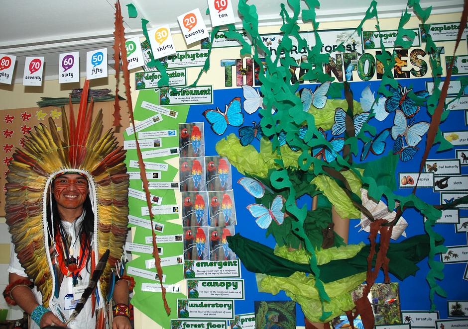 Amazon rainforest display at Queen's Park Academy, Bedford