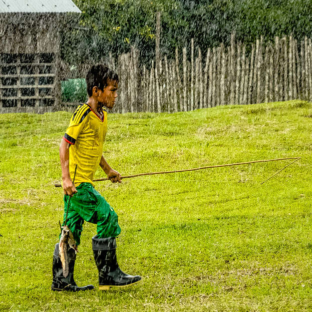 Huitoto, Colombie, 2014

Un jeune garçon huitoto revient d'une journée de pêche difficile sous une pluie abondante. Les garçons commencent à accompagner leurs pères à la pêche dès l'âge de 8 ans afin d'en maîtriser les techniques.

