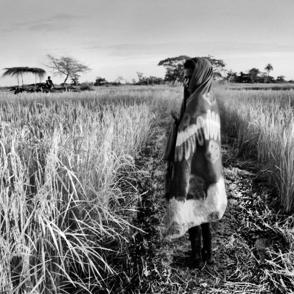 Bijagós, Guinea-Bissau, 2013

Ein Bijagó-Mädchen, bekleidet mit einem traditionellen Schal, steht in einem Reisfeld. Die Bijagó haben eine spirituelle Beziehung zu ihrer Umgebung: Entscheidungen im Zusammenhang mit der Land- und Ressourcennutzung werden von den Ältesten während spezieller Zeremonien gefällt. 