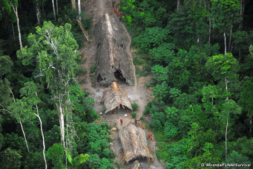 Uncontacted Tribe In Brazilian Jungle