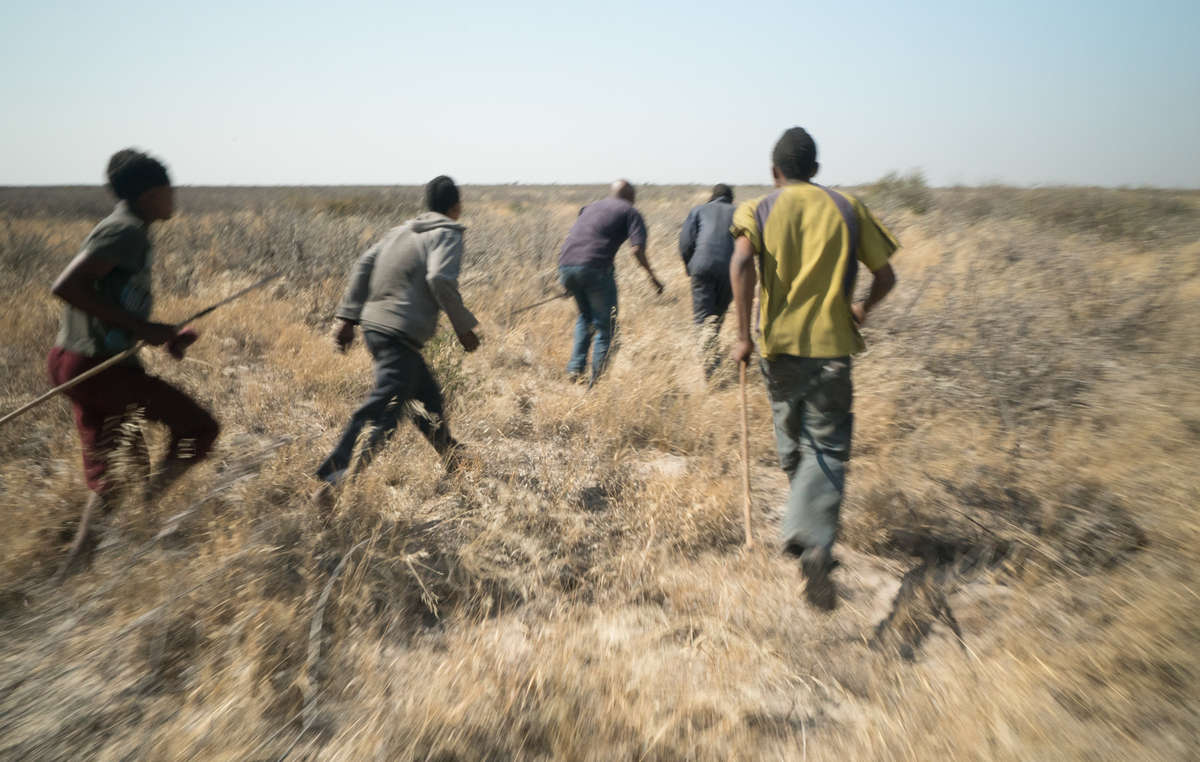 Bosquímanos são acusados de “caça furtiva” quando caçam para alimentar suas famílias, enquanto a caça esportiva é encorajada.