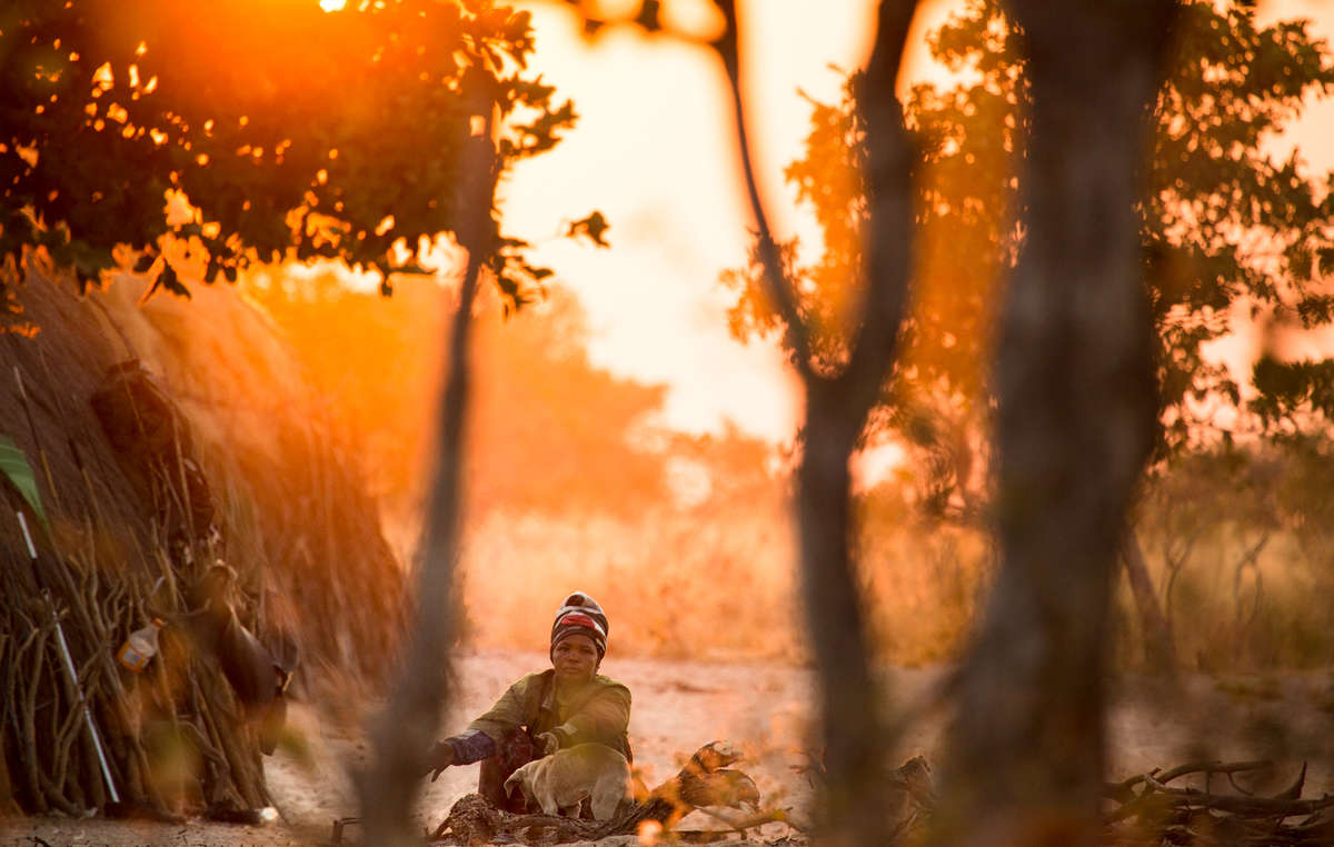 Los bosquimanos han dependido y cuidado de sus entornos durante milenios. Hoy se les acusa de “furtivos” porque cazan para alimentar a sus familias.