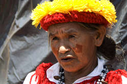 La plupart des Guarani, comme la communauté de cette femme, ont été dépossédés de leurs terres au profit de l'élevage à grande échelle ou de la canne à sucre.