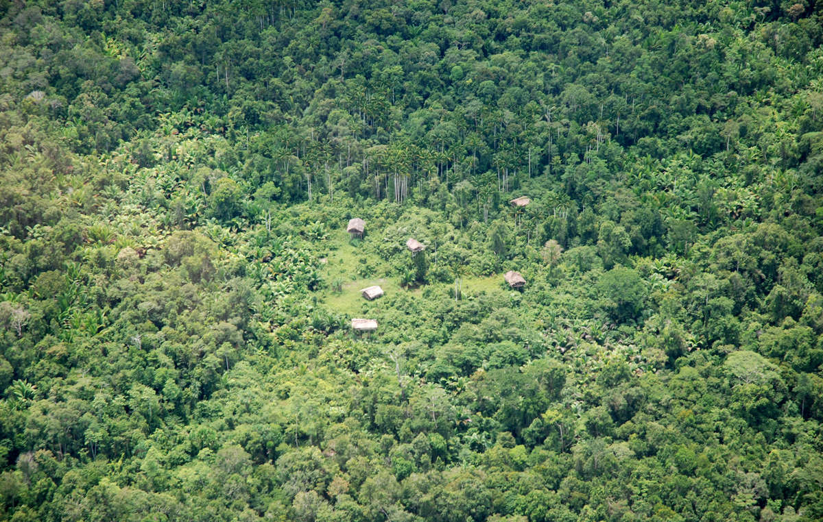 Korowai-Baumhäuser aus der Luft, West-Papua.