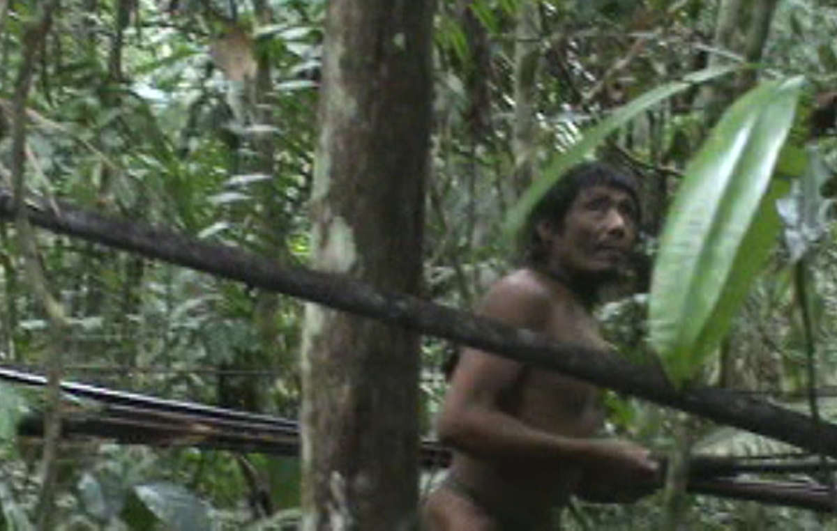 The Kawahiva are one of the tribes whose territories are covered by the Land Protection Orders. Still from unique footage taken by government agents during a chance encounter.