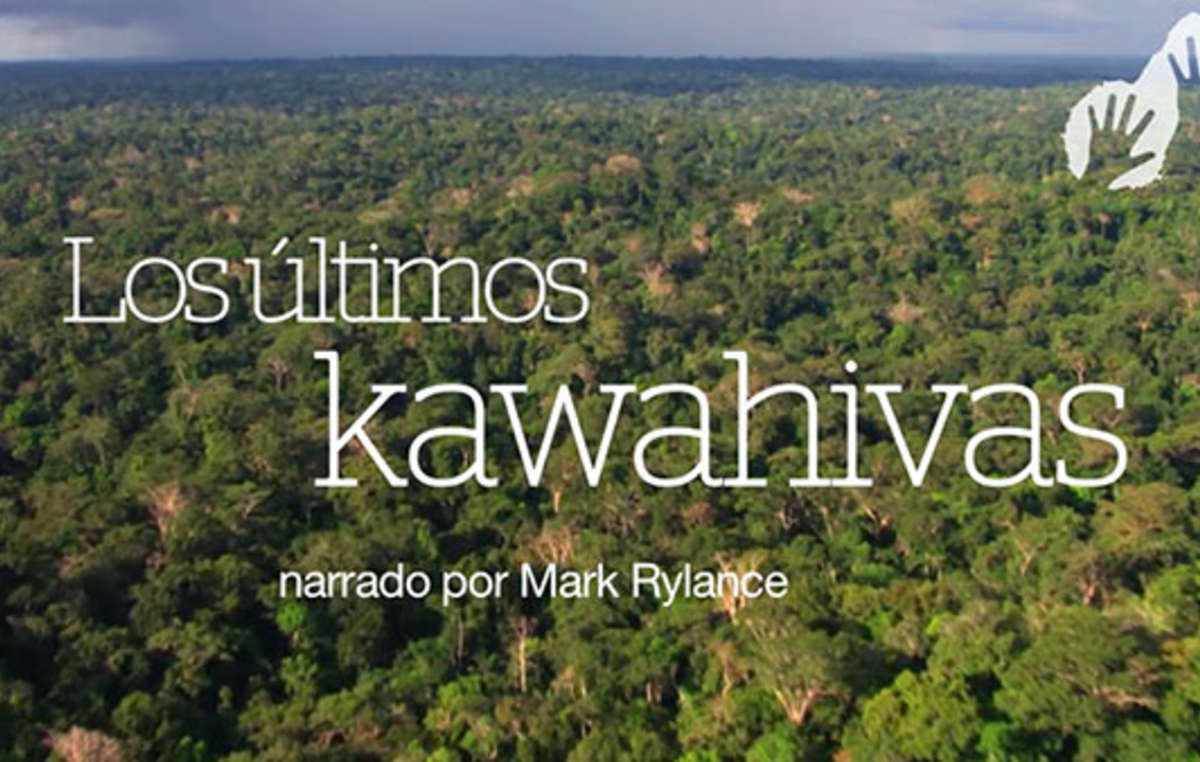 Survival proyectó su vídeo 'Los últimos kawahivas' durante el Festival de Cine y DDHH de Barcelona para denunciar que si no se respetan los derechos territoriales de este pueblo indígena aislado, su genocidio se consumará.