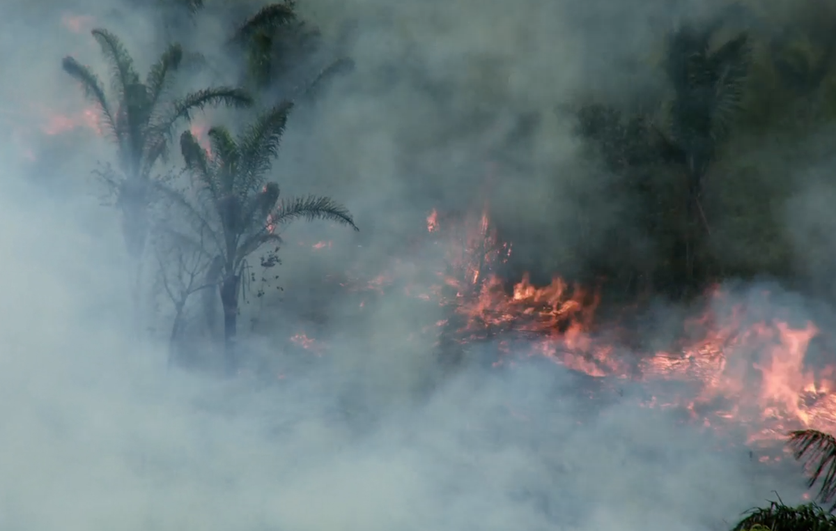 Au Brésil, les feux de forêt sont souvent déclenchés par des bûcherons dans le but de s’approprier un territoire et d’en expulser les Indiens qui y vivent.