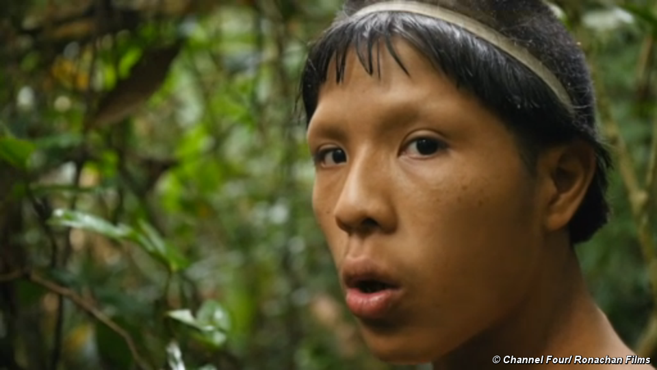 Why are the lost tribes now emerging from the Amazon 