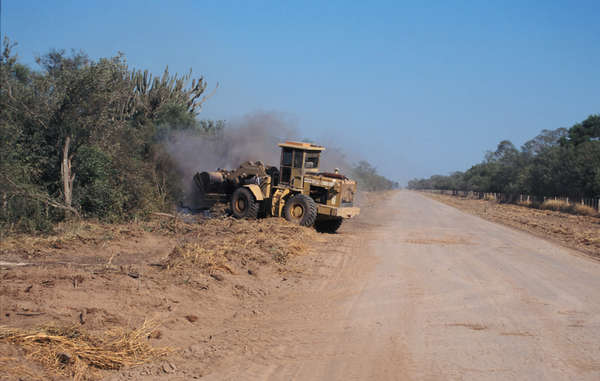 A bulldozer clears forest belonging to Ayoreo-Totobiegosode Indians, Paraguay