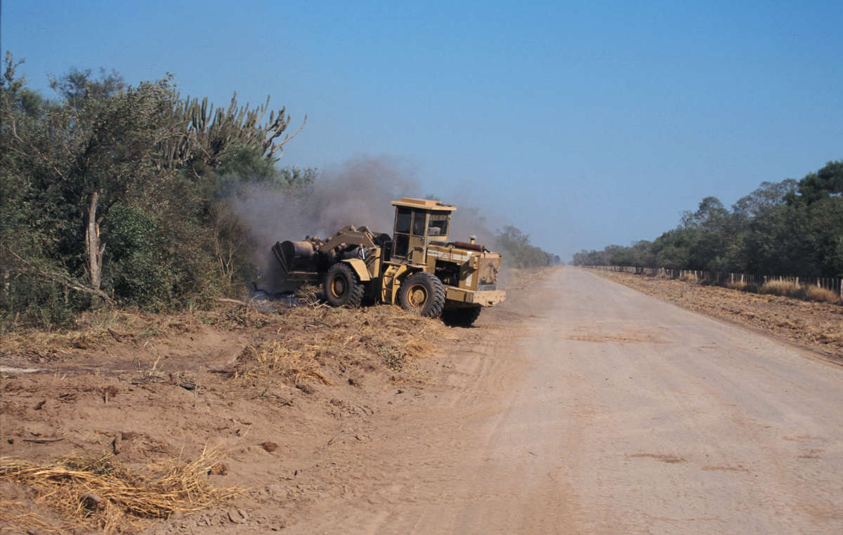 A bulldozer clears forest belonging to Ayoreo-Totobiegosode people, Paraguay