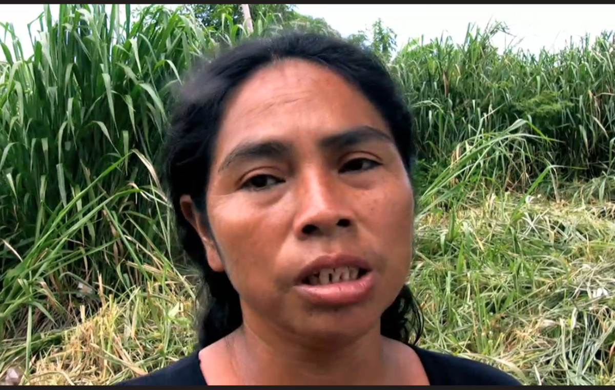 Leia Aquino, speaking to Survival a few years before her death in 2016