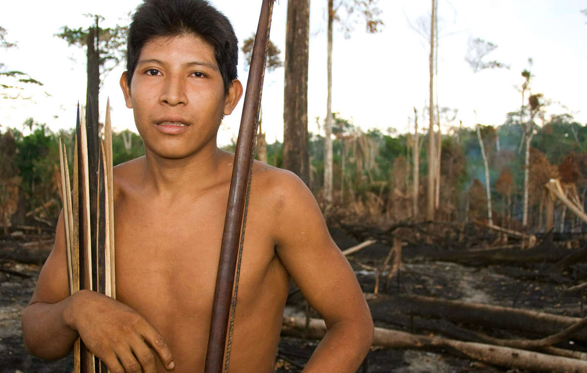 Muitas terras indígenas têm sido incendiadas por fazendeiros e grileiros há anos, mas agora os incêndios são especialmente graves. Hemokomaá, um homem Awá, mostra sua floresta depois do incêndio que atingiu sua terra em 2010.