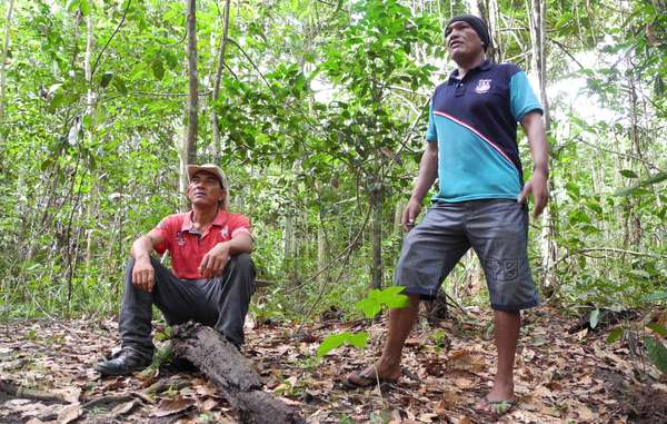 Olimpio and Franciel, coordinators of the Guajajara Guardians, are determined to protect the forest for their uncontacted Awá neighbors.