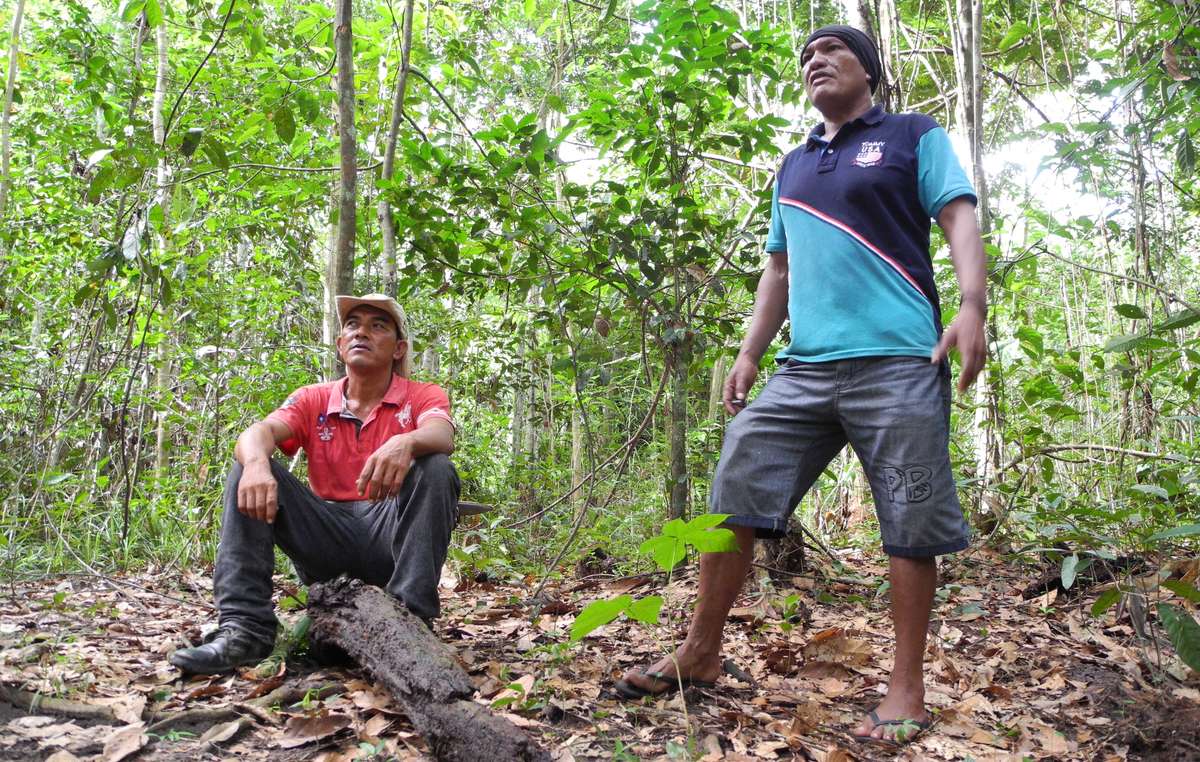 Olímpio e Franciel, coordenadores dos Guardiões Guajajara, estão determinados a proteger a floresta para seus vizinhos isolados Awá.