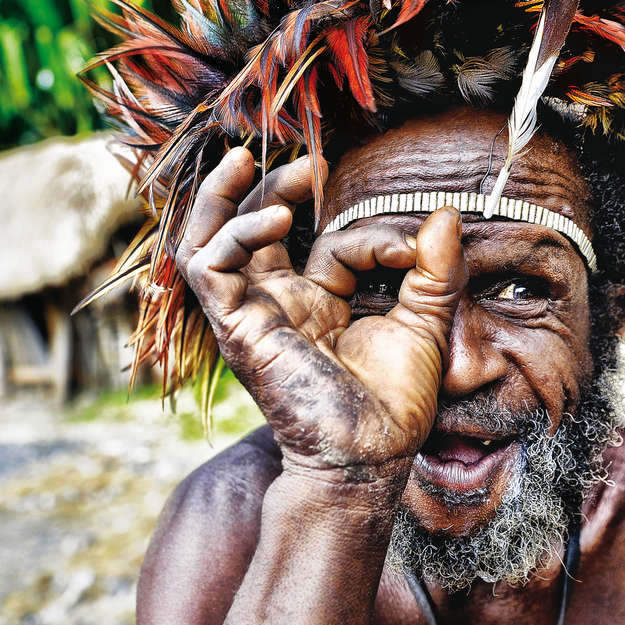 Uomo Dani, Papua Occidentale, 2014