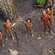 The Uncontacted Frontier