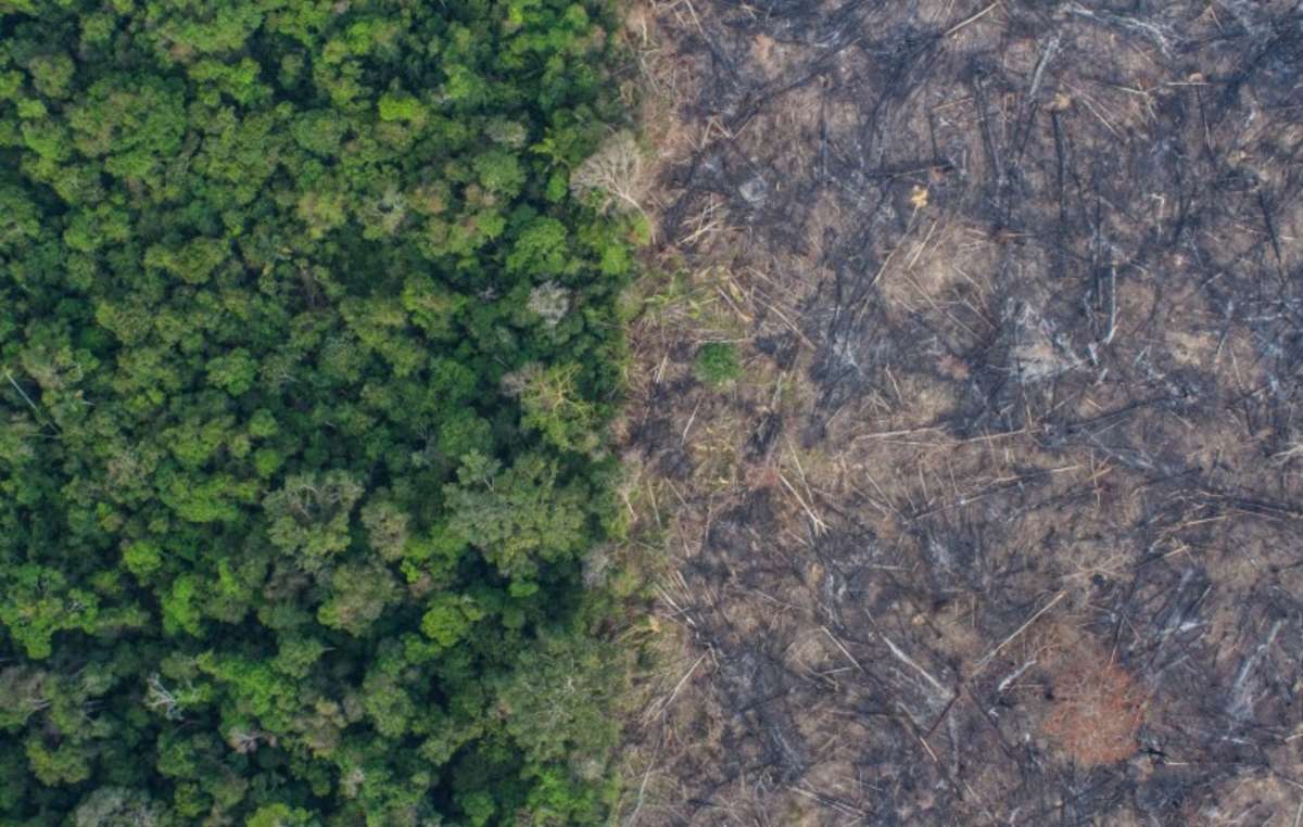 Zerstörung durch Waldbrand in Rôndonia, aus der Luft fotografiert von der brasilianischen NGO Kandinde, nahe der unkontaktierten Indianer und den Uru Eu Wau Wau.