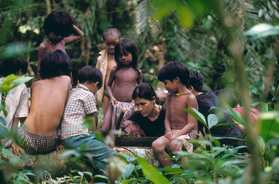 10 reasons why Indigenous and tribal peoples are the world's best  conservationists - Survival International