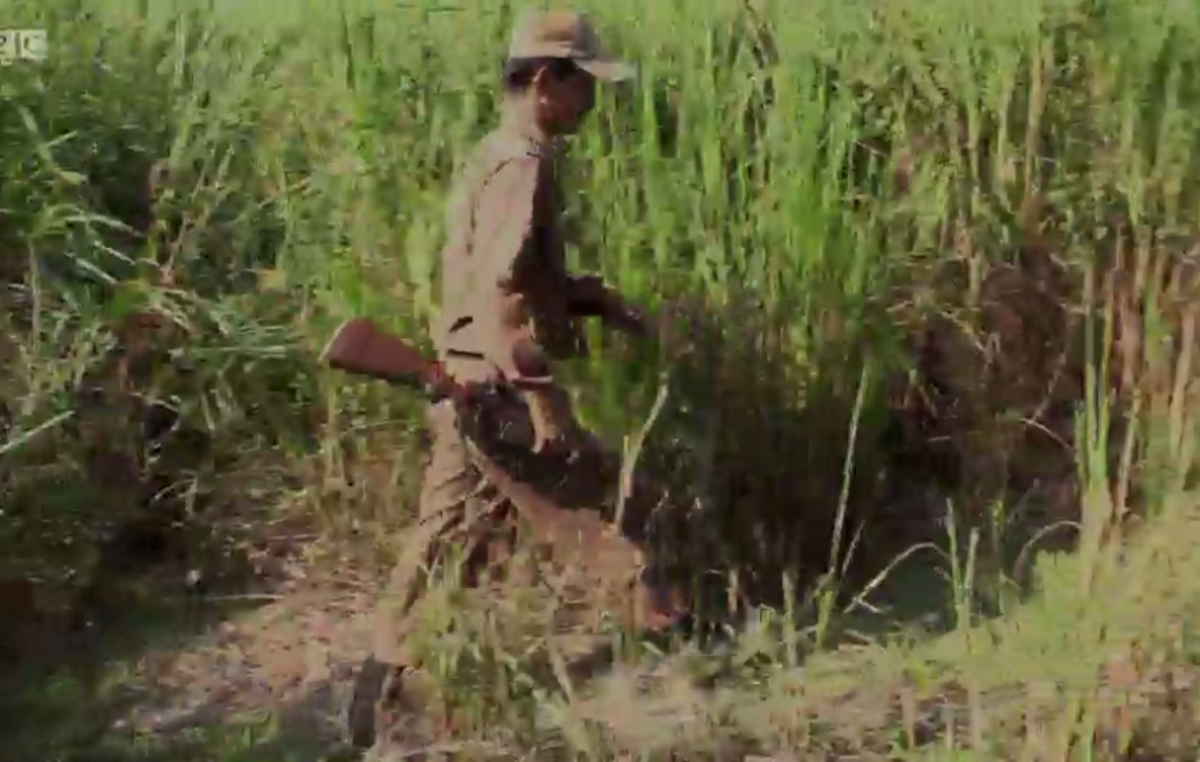 Armed park guard in Kaziranga national park in India, as seen on the BBC's Planet Earth II