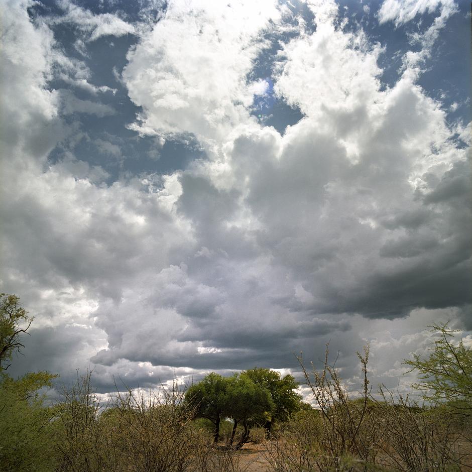 Storm clouds roll above the Kalahari desert, promising long-overdue rain and from the horizon black smoke from a thousand smoldering bush-fires rose to darken the vast slate-grey skies. 

‘Why must I move?’ asked a Bushman.  ‘Why is the government of Botswana persecuting the Bushmen?’

‘I was born in this place and I have been here for a very long time.  This is my birthright: here, where my father's body lies in the sand.’