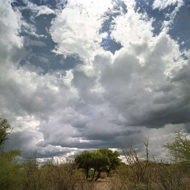 Storm clouds roll above the Kalahari desert, promising long-overdue rain and from the horizon black smoke from a thousand smoldering bush-fires rose to darken the vast slate-grey skies. 

‘Why must I move?’ asked a Bushman.  ‘Why is the government of Botswana persecuting the Bushmen?’

‘I was born in this place and I have been here for a very long time.  This is my birthright: here, where my father's body lies in the sand.’