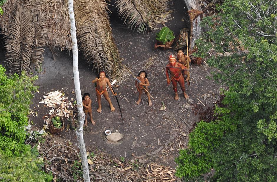 Brasil es el hogar de aproximadamente "un centenar de pueblos indígenas aislados":http://www.indigenasaislados.org/, las sociedades más vulnerables del planeta. Poblaciones enteras están siendo aniquiladas por la violencia de los foráneos que roban su tierra y sus recursos, y por enfermedades como la gripe y el sarampión que estos propagan y frente a las que los indígenas no tienen inmunidad. 

Los "indígenas aislados kawahivas":http://www.survival.es/indigenas/aislados-brasil del centro de Brasil se enfrentan al exterminio por los madereros y  ganaderos que invaden su tierra. Tras las evidencias que sugerían que podían estar siendo deliberadamente perseguidos y acosados por madereros, forzándolos a vivir en una huida constante, un fiscal general puso en marcha una investigación sobre su genocidio.