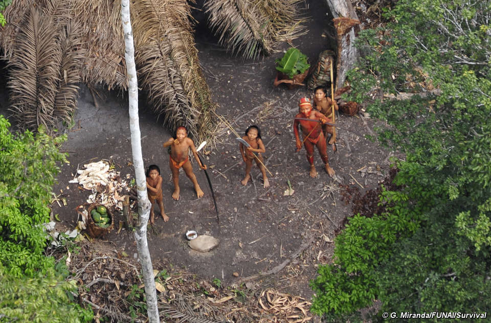 Uncontacted Indians of Brazil