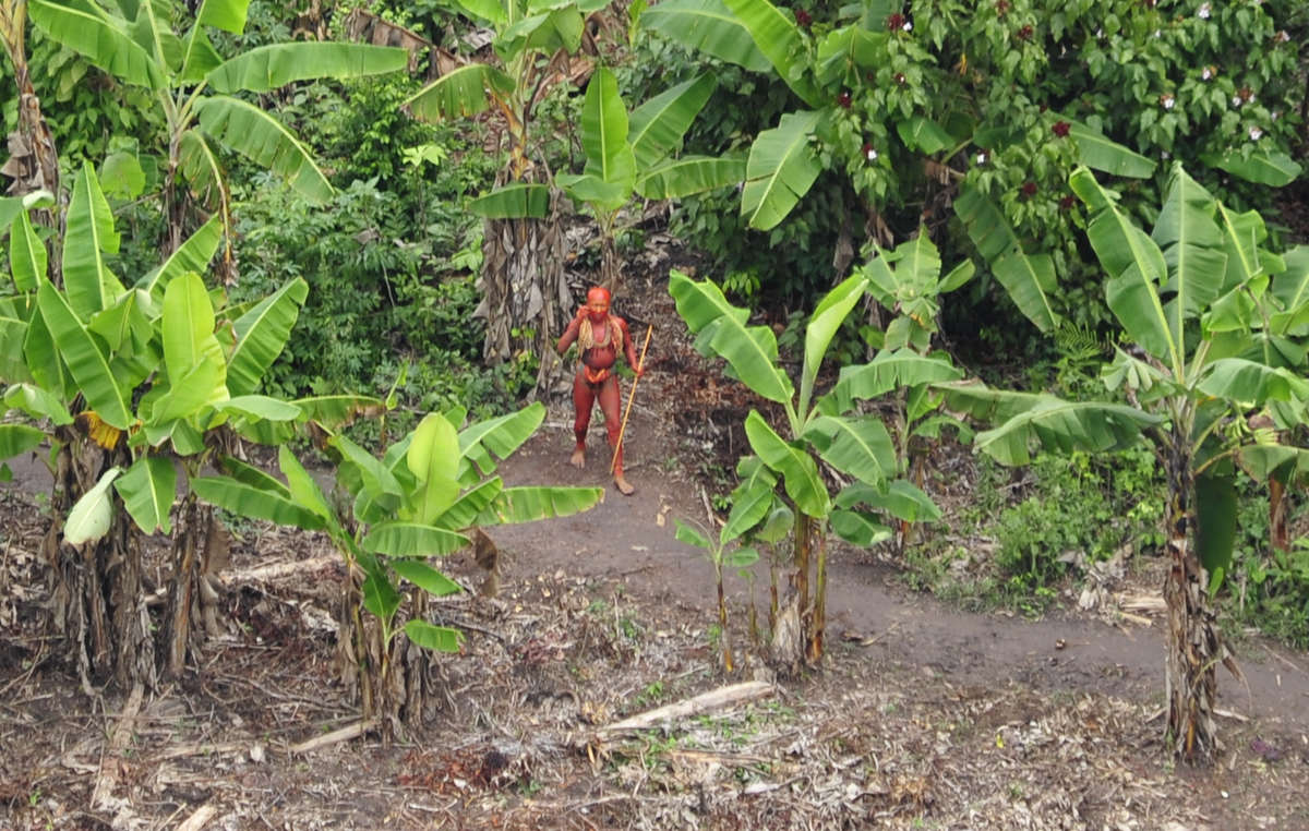 Uncontacted tribal man pictured from the in air 2010 in film footage which subsequently went viral around the world.