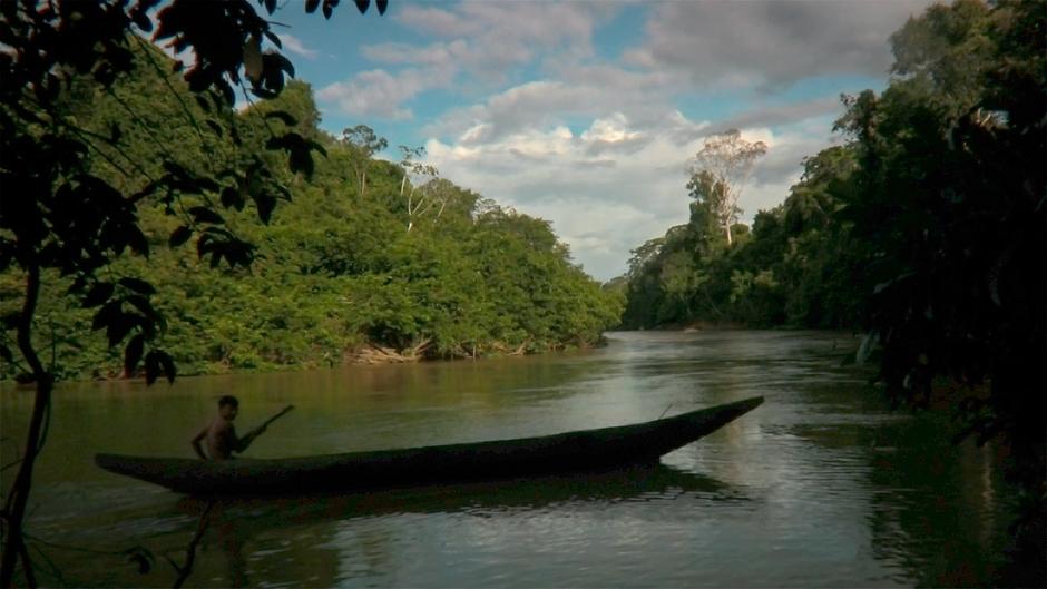 Manche Jäger-und.Sammler-Gesellschaften im Amazonasgebiet fangen Fische, indem sie das Pflanzengift, _Barbasco_ oder _Timbó_ genannt, im Wasser zerstoßen. Das Gift betäubt den Fisch vorläufig, sodass er an der Wasseroberfläche treibt; dies ermöglicht es den Indigenen, ihre Beute einfach mit Körben abzuschöpfen. Das Gift lässt nach einer Weile nach und die nicht gefangenen Fische können wegschwimmen.

Die Penan in Sarawak, eines der letzten Jäger-und-Sammler-Völker in Malaysia, geben ebenfalls das Gift zerstoßener Waldpflanzen ins Wasser, um damit Fische zu töten.