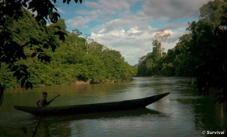 A Yanomami boy paddles his canoe back to his village in the Brazilian Amazon.