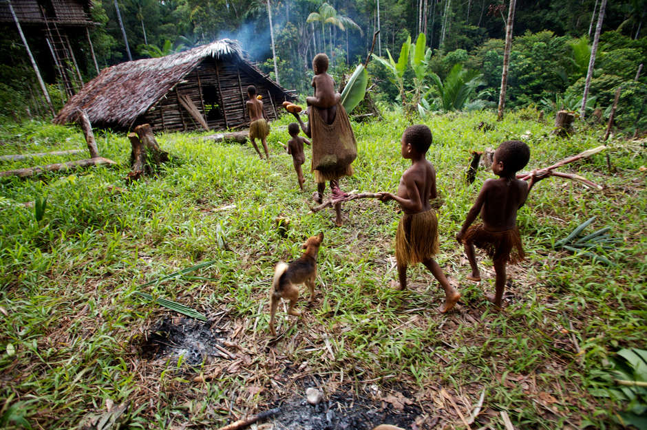 Tribal people of the Baliem valley of New Guinea probably developed agriculture long before the ancestors of the Europeans.